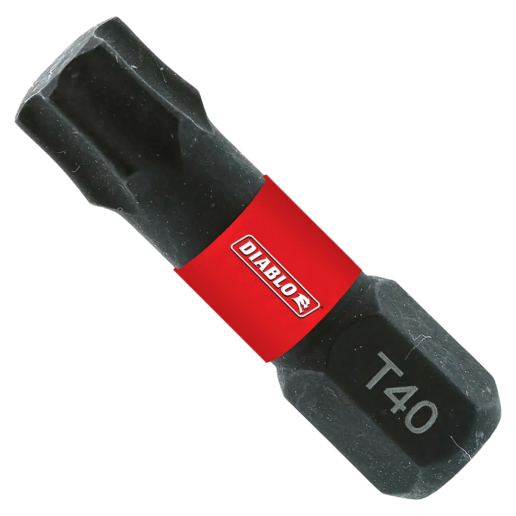 1 in. #40 Torx Drive Bits (2-Pack) | Diablo Tools | PCS