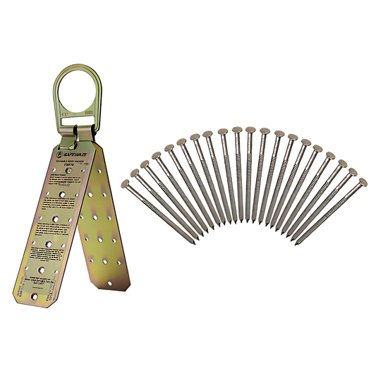 Reusable Roof Anchor, 20Pc Nails FS870N-5420