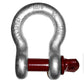 Shackles - HDG Screw Pin Load Rated-SPA187