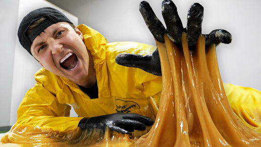 PCS Pulse: Avoiding the 'Fly Trap' - When Leaders Let Go, Companies Grow