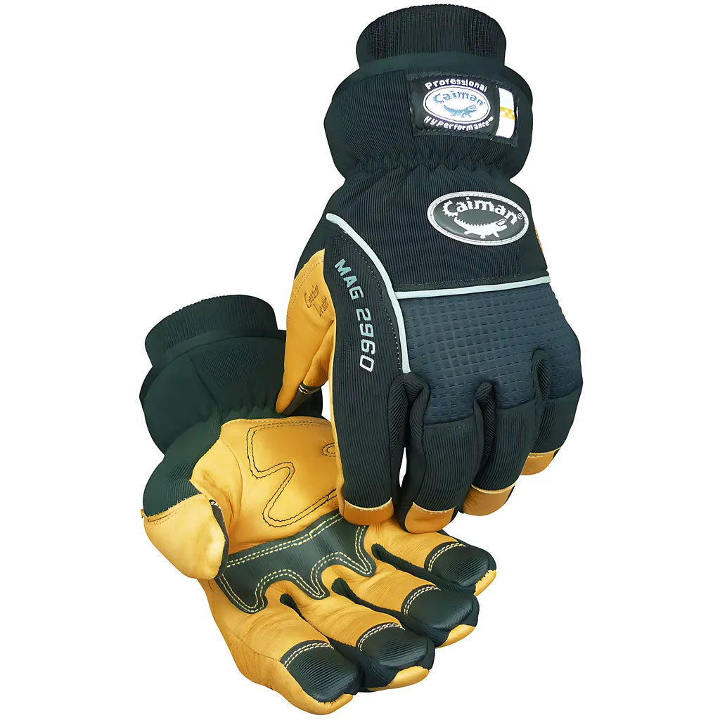 Caiman 2960-4 Multi-Activity Glove With Pig Grain Leather Padded Palm And Waterproof Back - Heatrac Insulated 2960-4-12855