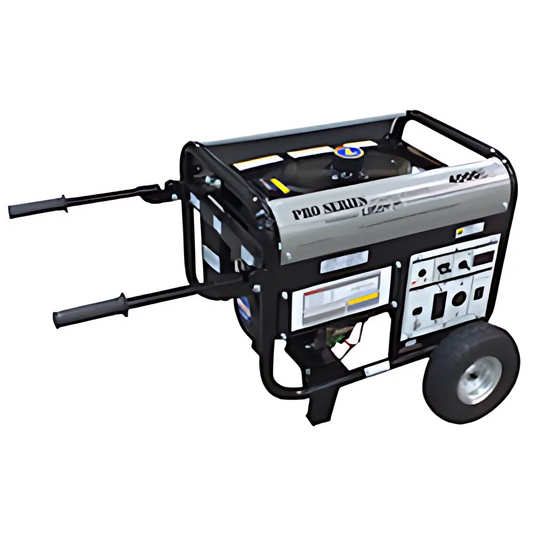 Lifan 4,000 Watt Platinum Generator LF4000EPL-13