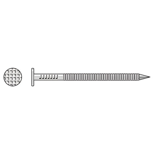 Painted Siding Nail - 3 In. X .113 In. Type 304 Stainless Steel, White (25 Lb.)-S10SNDWB-SP7986-8514