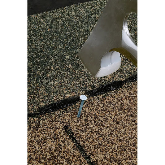 Roofing Nail,  Smooth Shank  - 1-3/4 In. X .120 In. Type 304 (25-Qty)-S511RNB-SP8352-8904