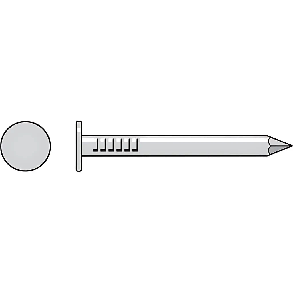Roofing Nail,  Smooth Shank  - 2 In. X .131 In. Type 304 (25-Qty)-S610RNB-SP8172-8710