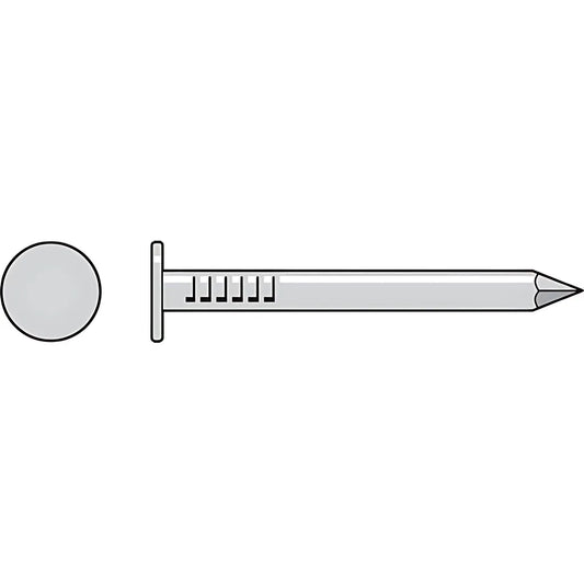 Roofing Nail,  Smooth Shank  - 2 In. X .131 In. Type 304 (25-Qty)-S610RNB-SP8172-8710