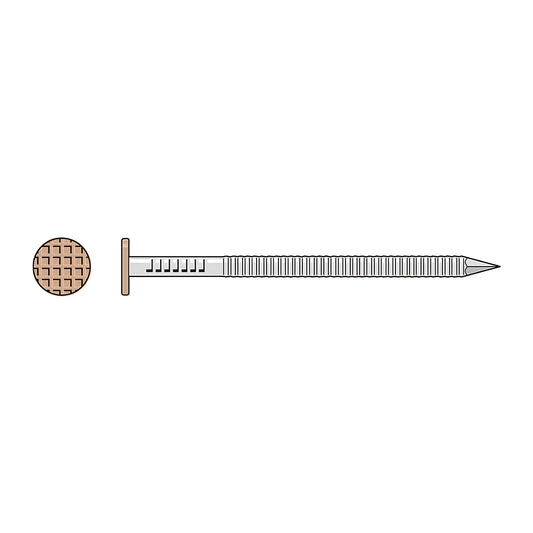 Painted Siding Nail - 2 In. X .092 In. Type 304 Stainless Steel, Tan (5 Lb.)-S6SNDT5-SP7851-8369