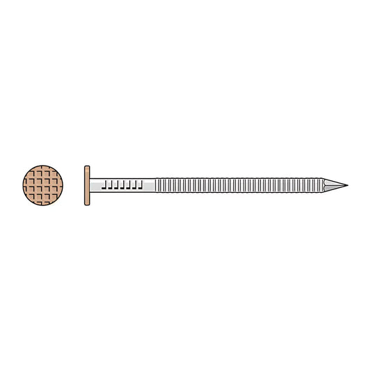 Painted Siding Nail - 2 In. X .092 In. Type 304 Stainless Steel, Tan (25 Lb.)-S6SNDTB-SP1020-1172