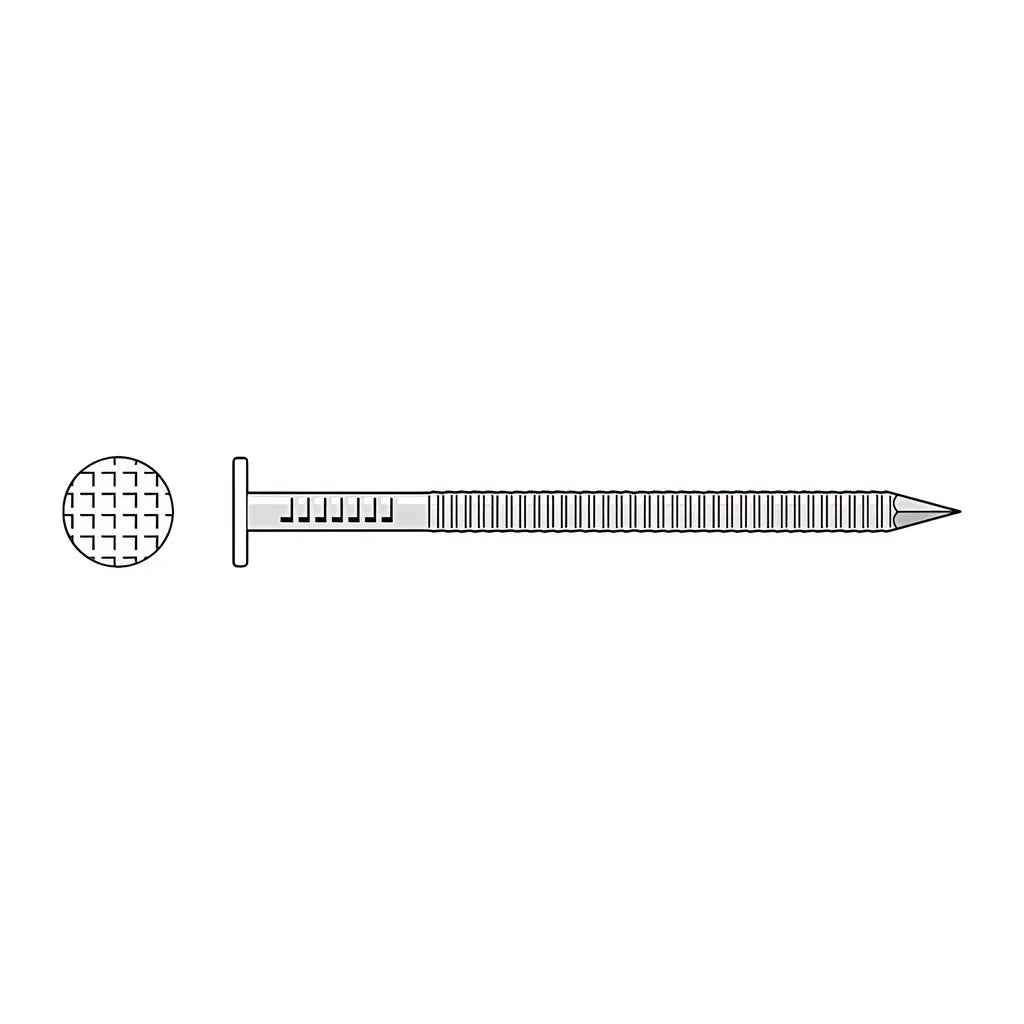 Painted Siding Nail - 2-1/2 In. X .092 In. Type 304 Stainless Steel, White (1 Lb.)-S8SNDW1-SP8807-9382