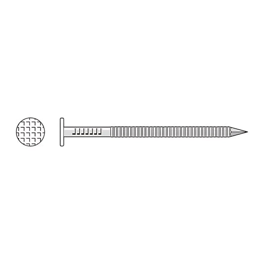 Painted Siding Nail - 2-1/2 In. X .092 In. Type 304 Stainless Steel, White (1 Lb.)-S8SNDW1-SP8807-9382