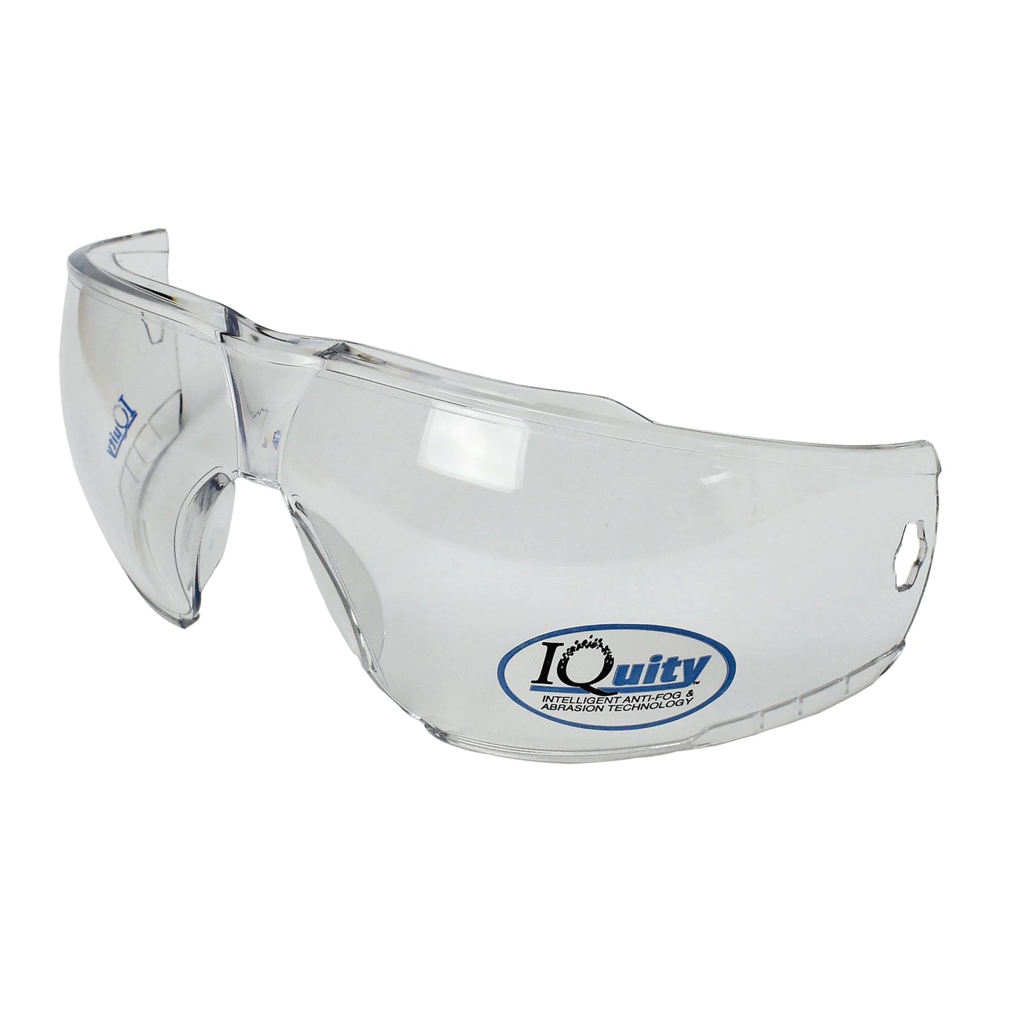 Radians LPX IQuity Goggle Replacement Lens
